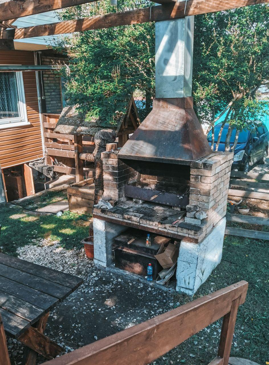 Фото Рыжая сова