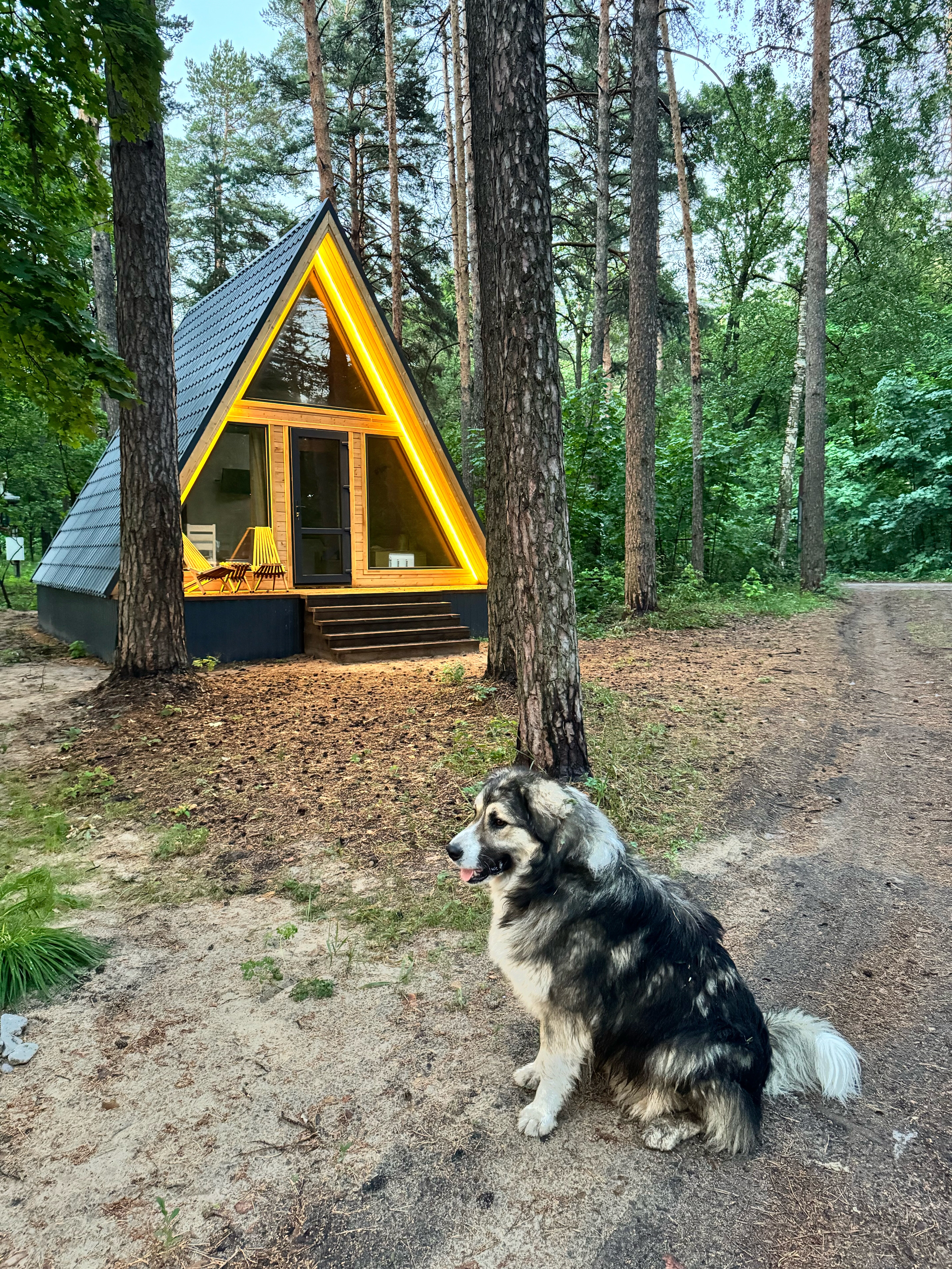 Фото Медвежий Угол