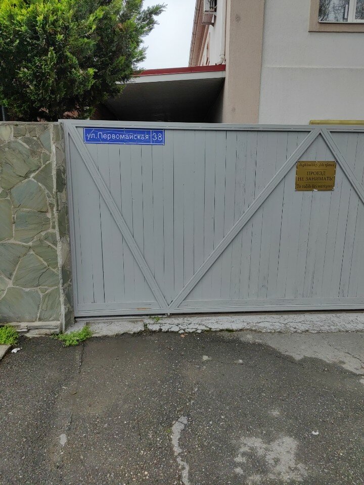 Фото Абрикос