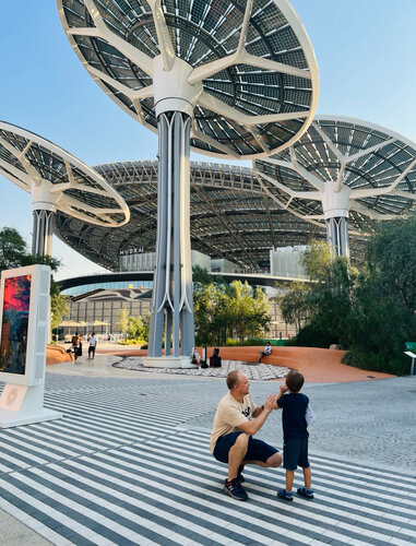 Expo 2020 (Dubai, Boulevard 2020, 8002), metro station