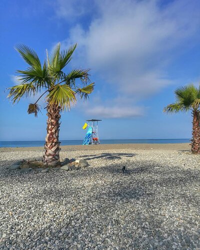 Дом отдыха Тамыш Village в Сухуме