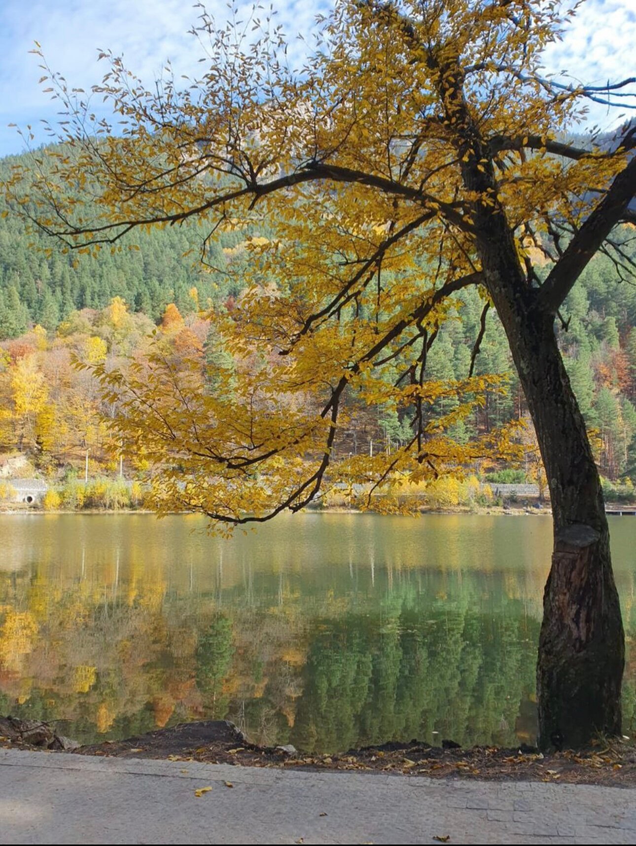 Фото Малинки