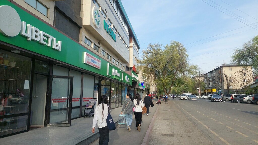 Web design studio Maxdev.Kg, Bishkek, photo