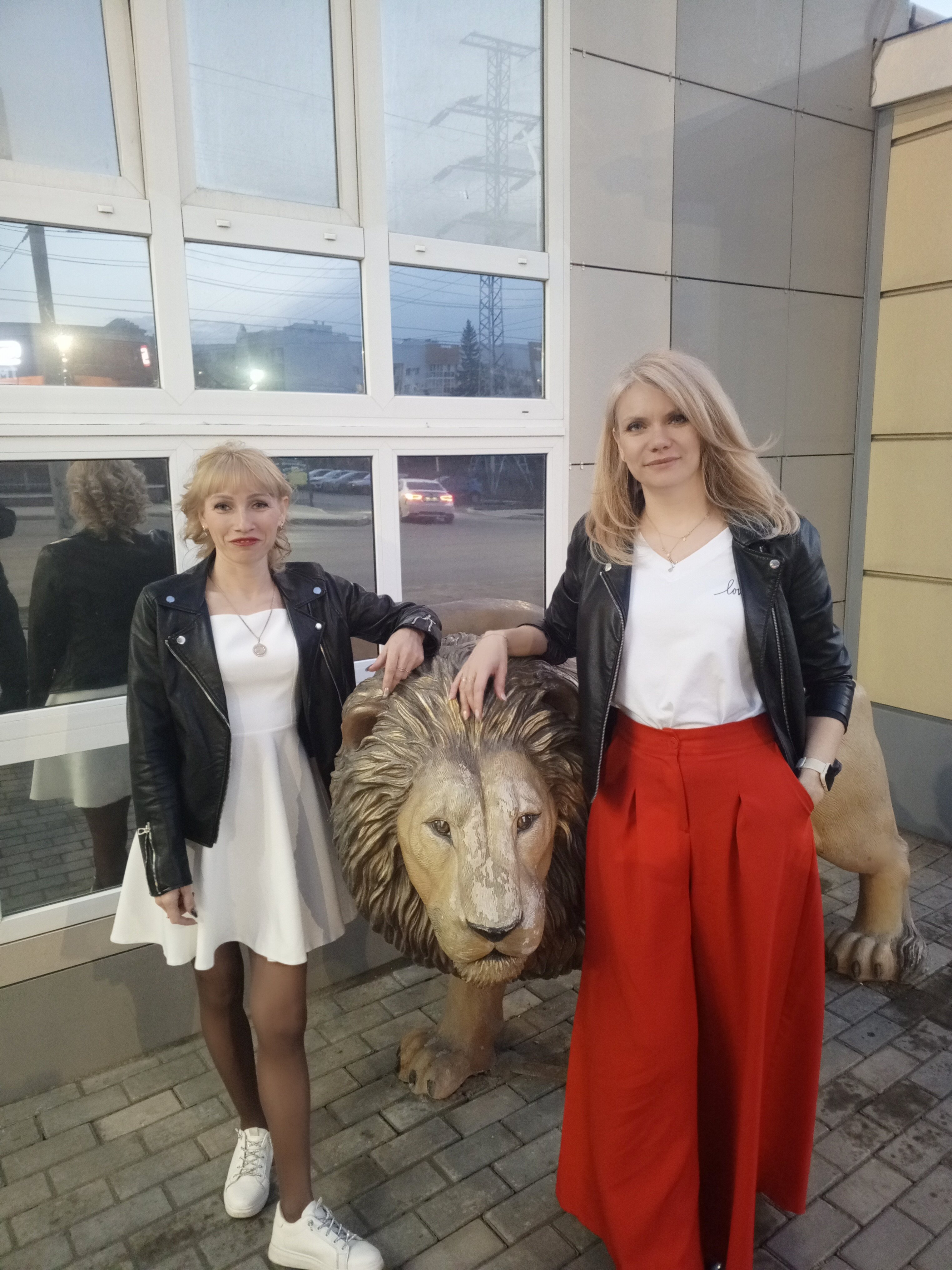 Фото Золотой лев