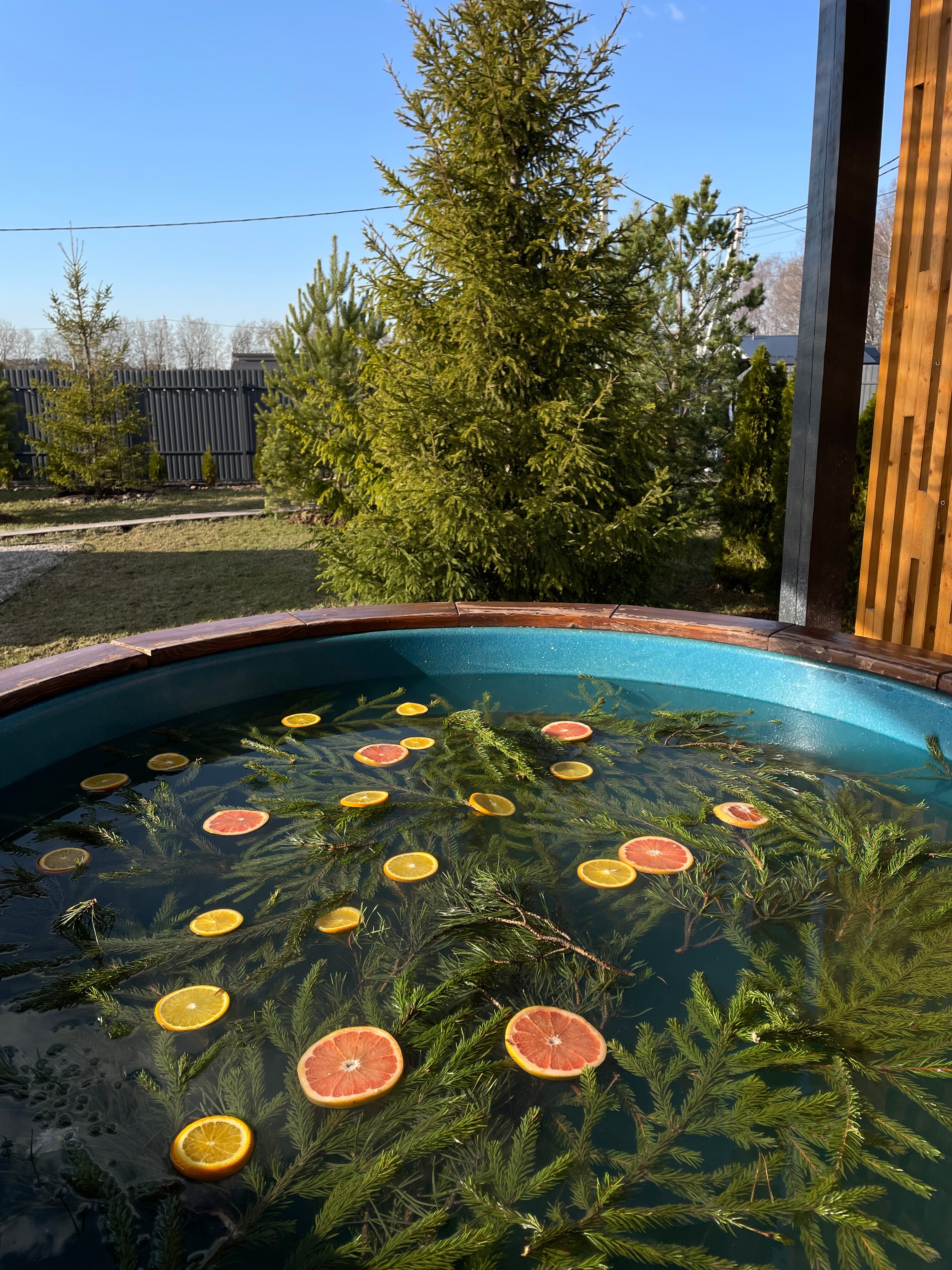 Фото Strawberry Glade