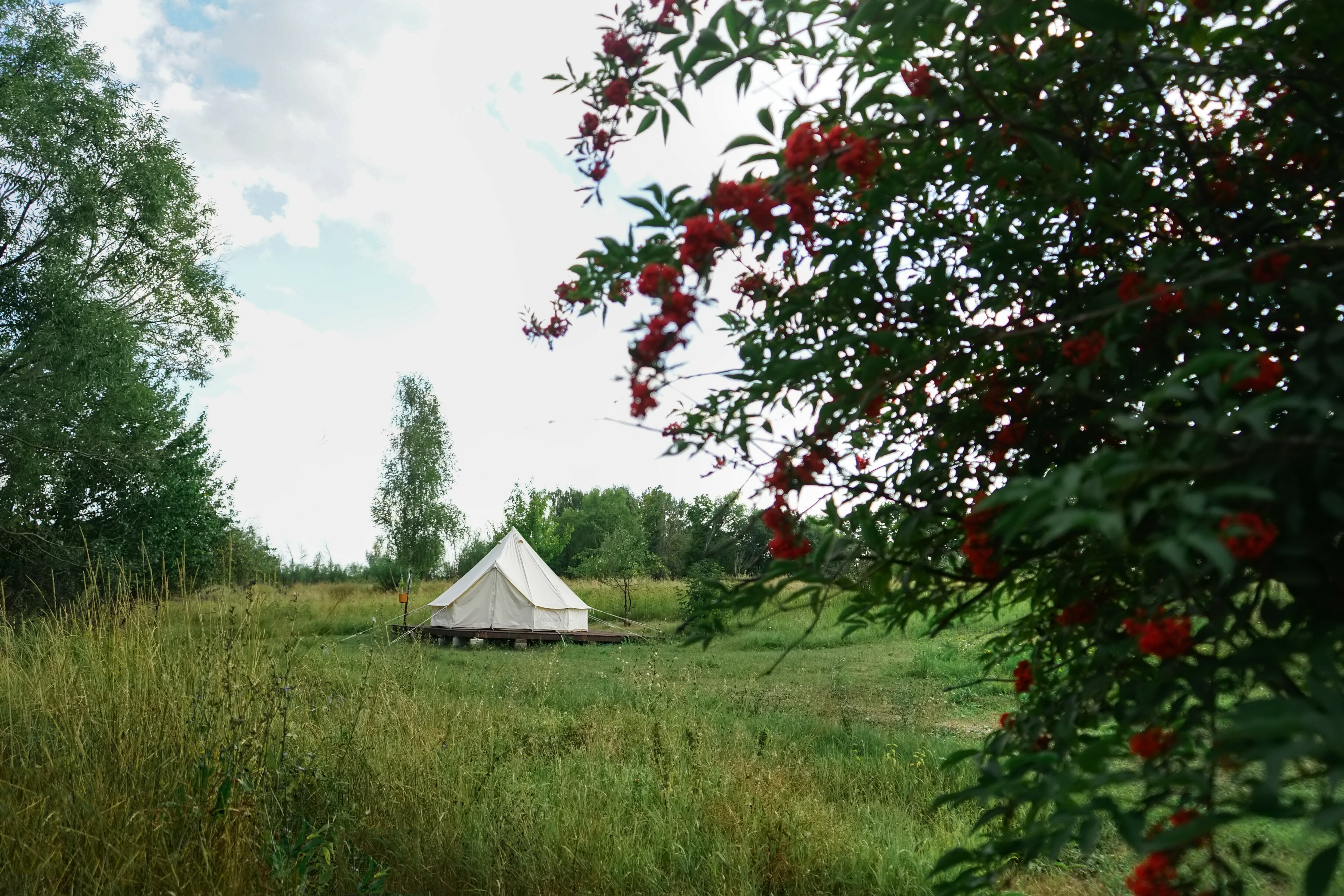 Фото Familyglamp Куликово поле