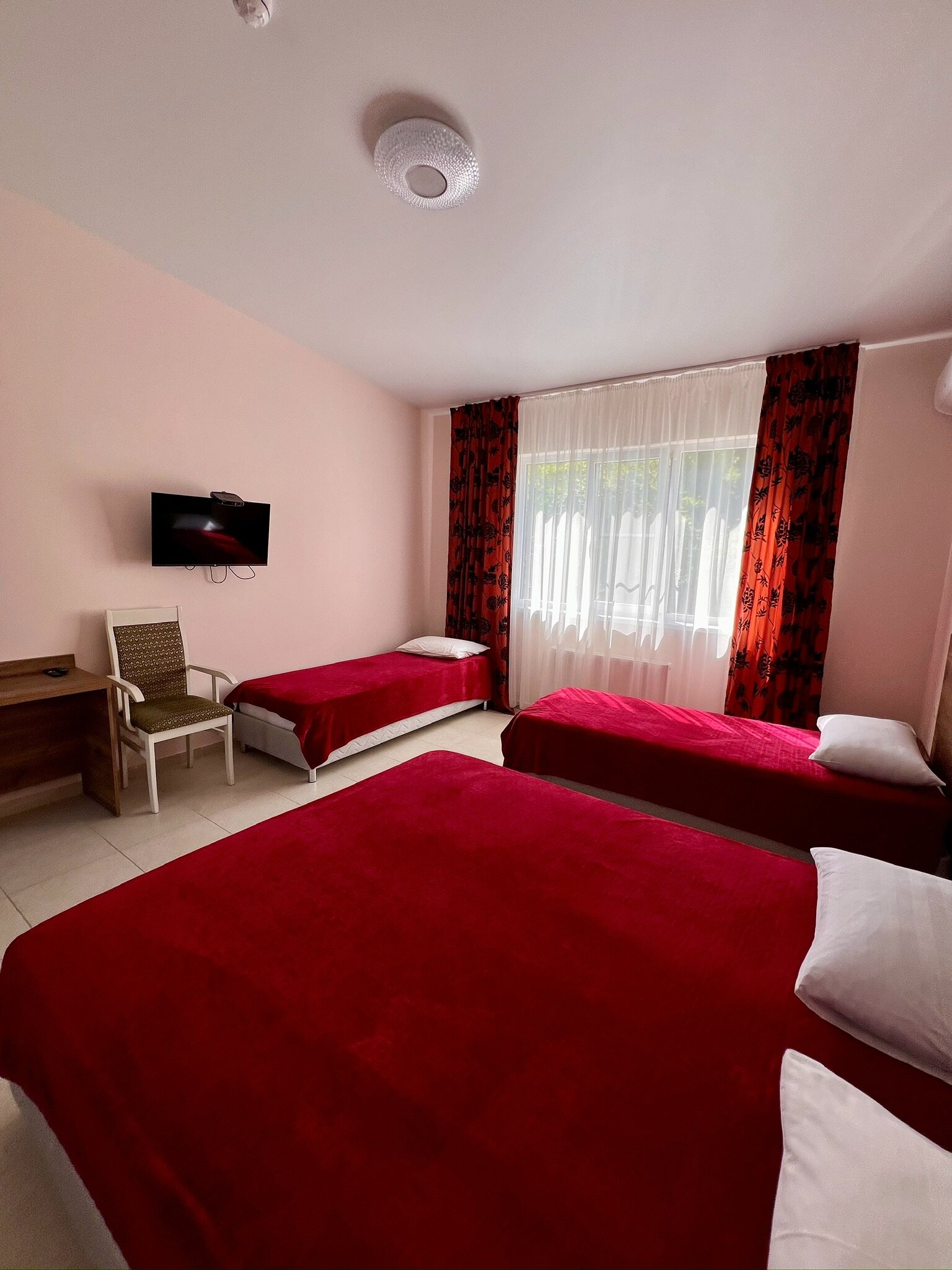 Фото Ромашка