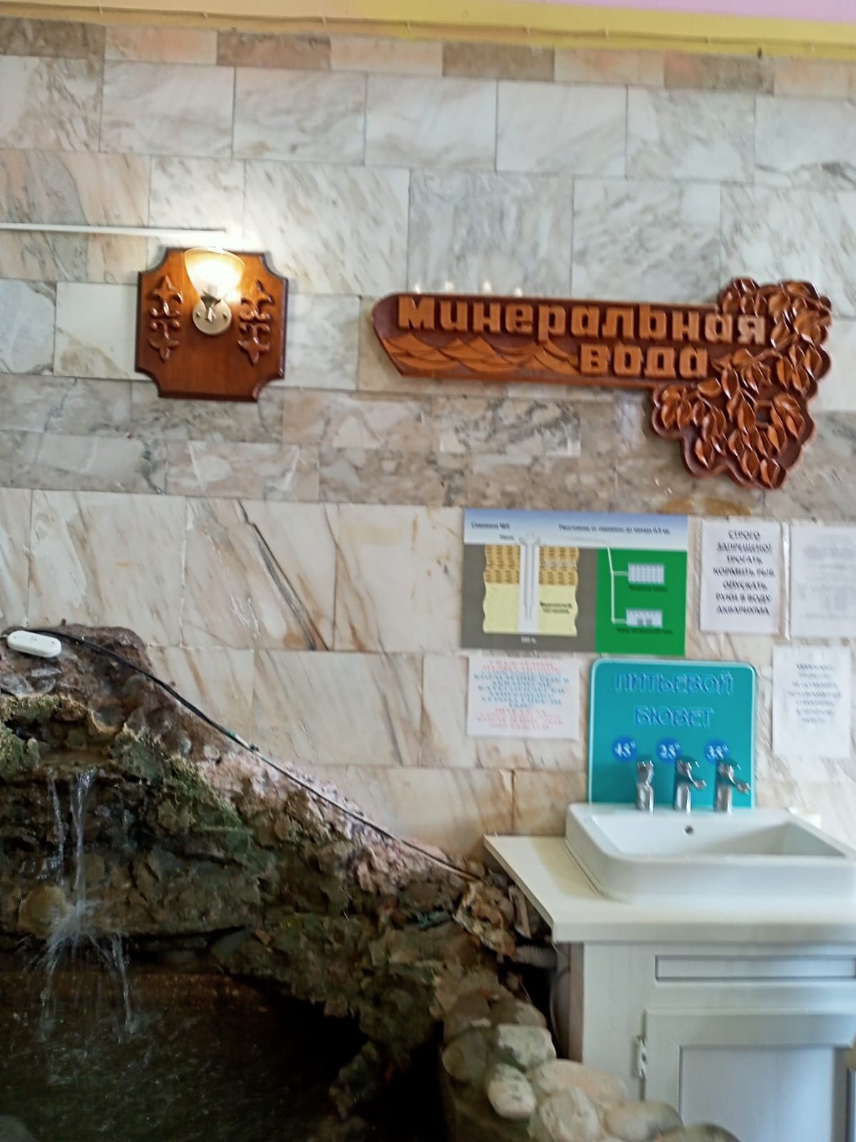 Фото Сосновый бор