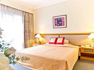 Bong Sen Hotel Annex (Ho Chi Minh City, Hai Ba Trung Street), hotel