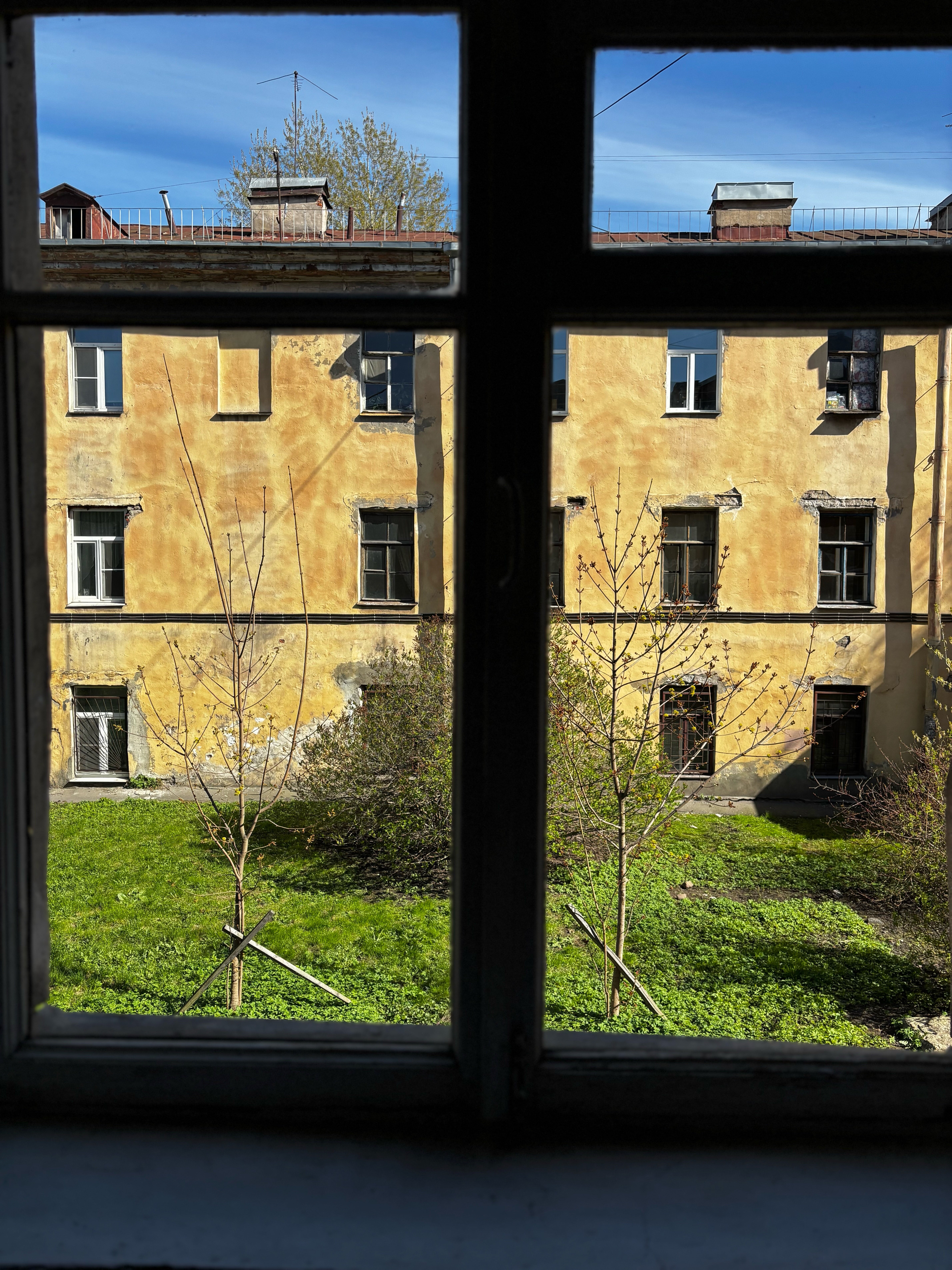 Фото Твой Питер