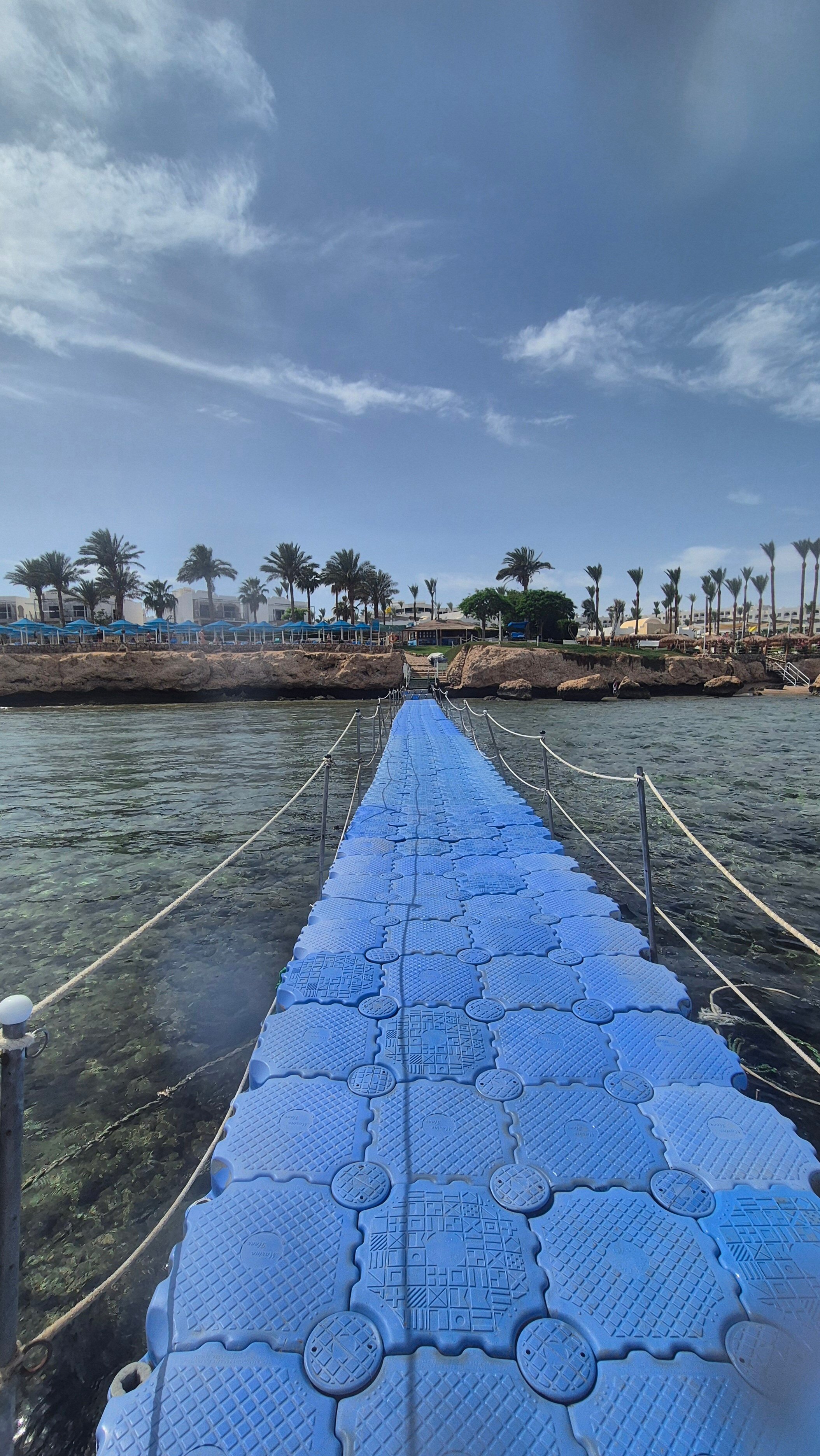 Фото Pickalbatros Royal Grand Resort