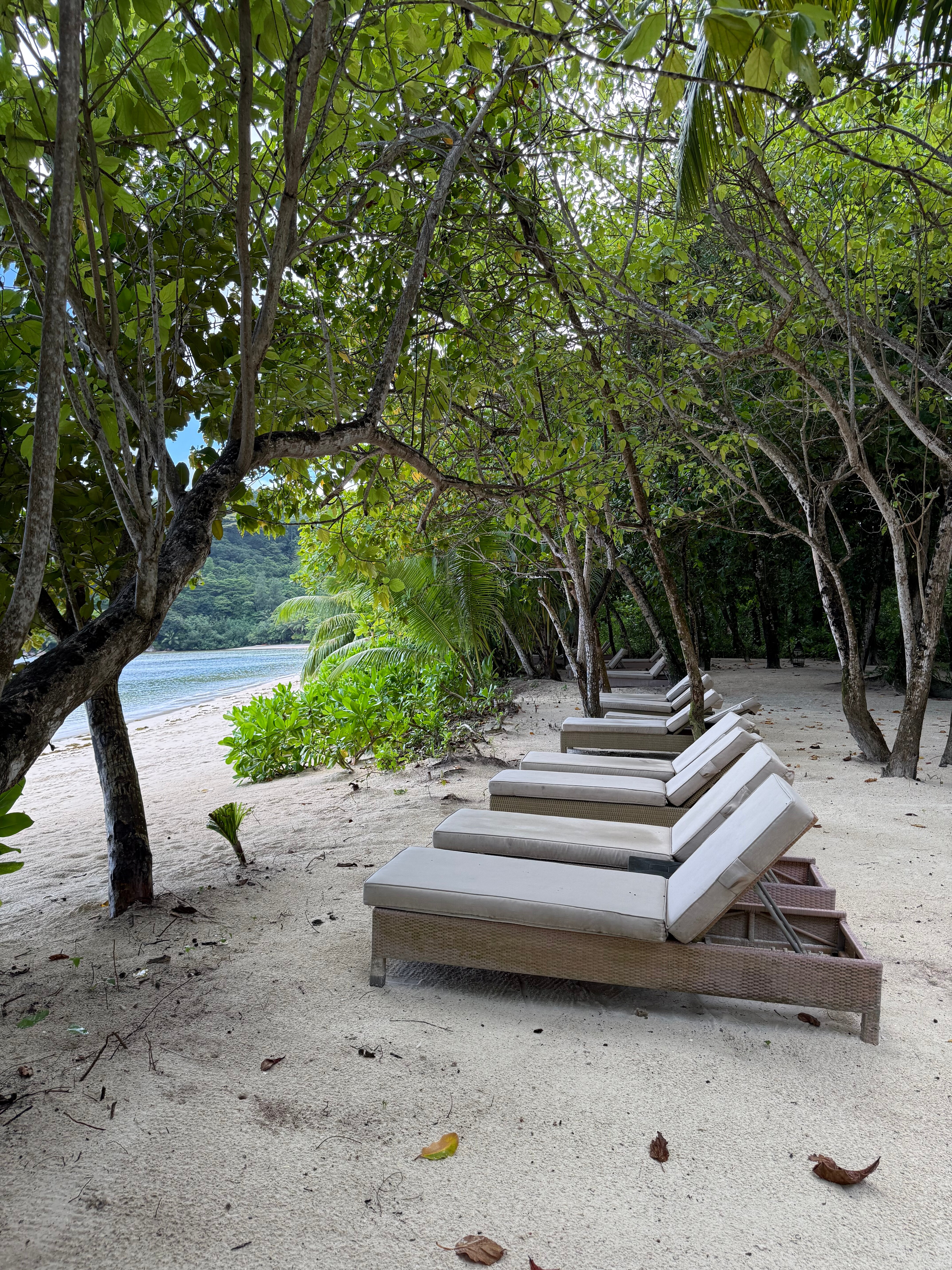 Фото Constance Ephélia