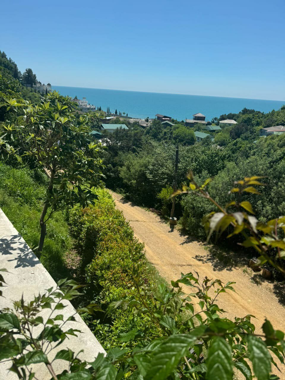 Фото Эвелина