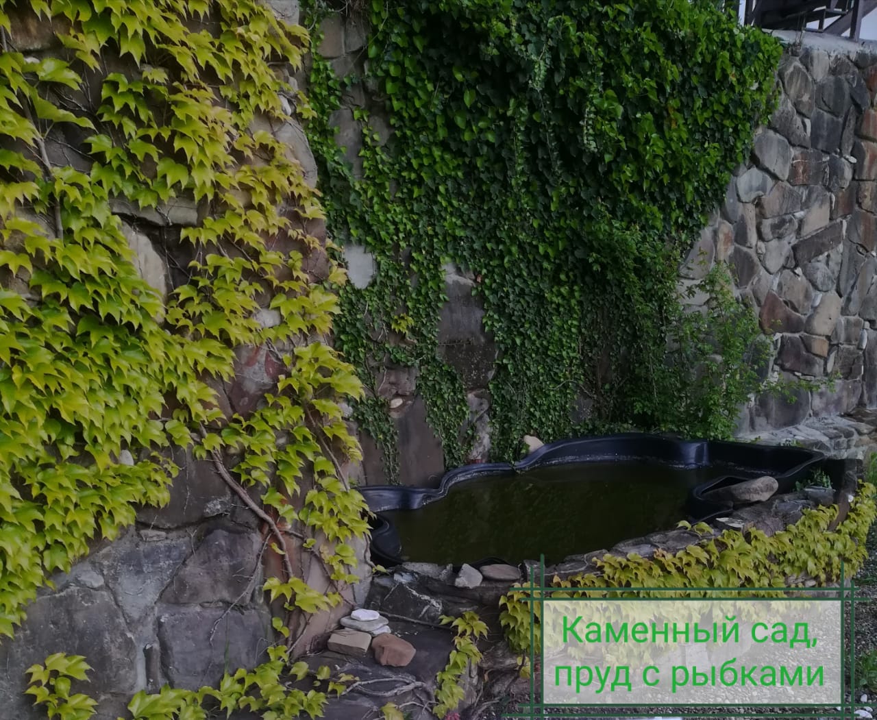 Фото Альпийский хуторок