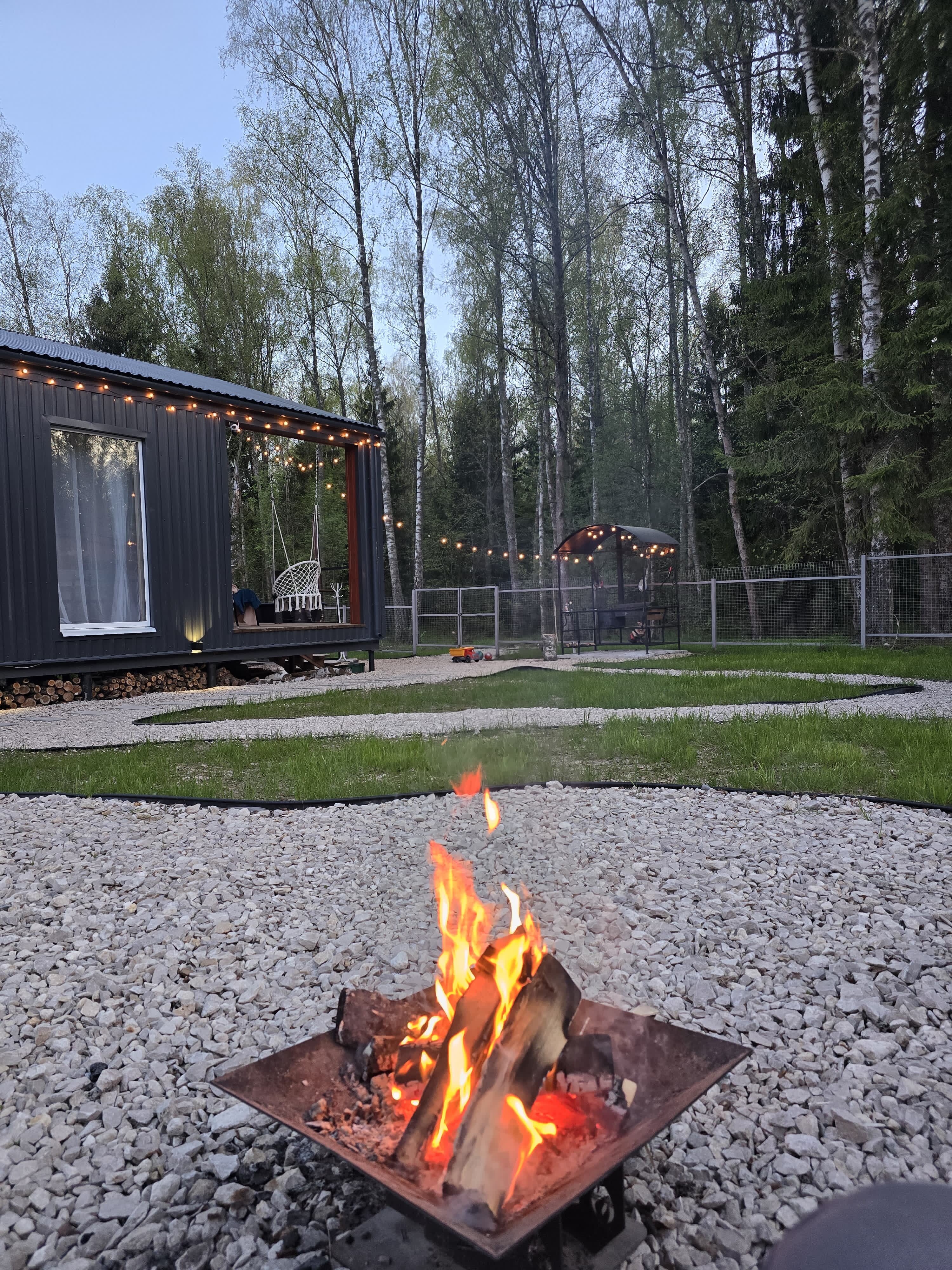 Фото У леса