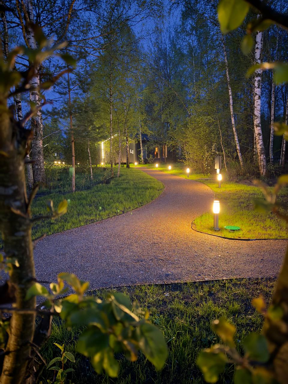 Фото Восемь Обезьян