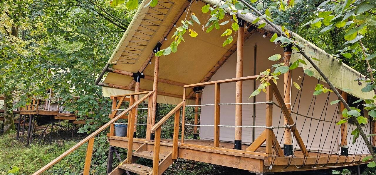 Фото Южный Вайб Древо