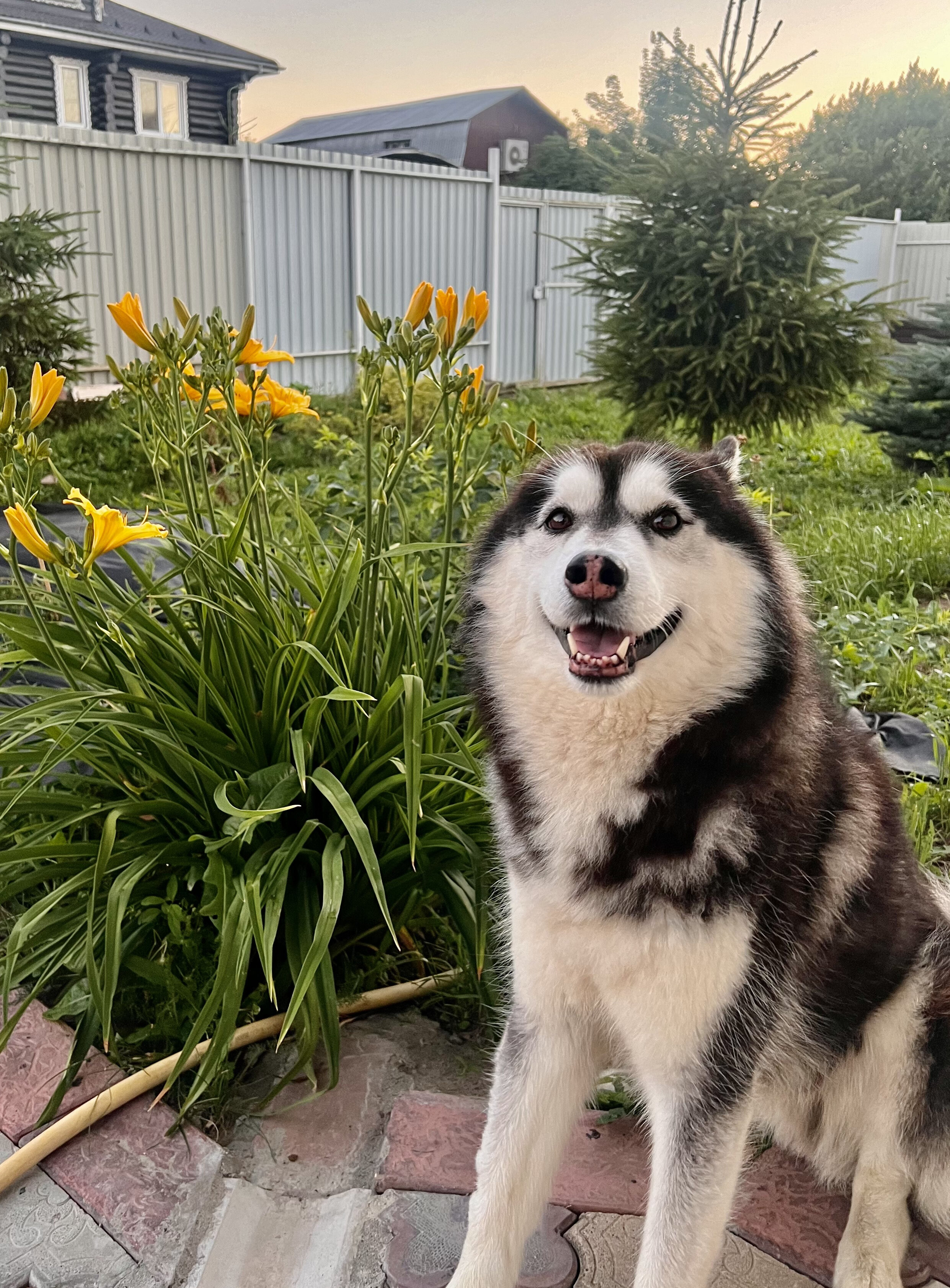 Фото Ernesto Armani