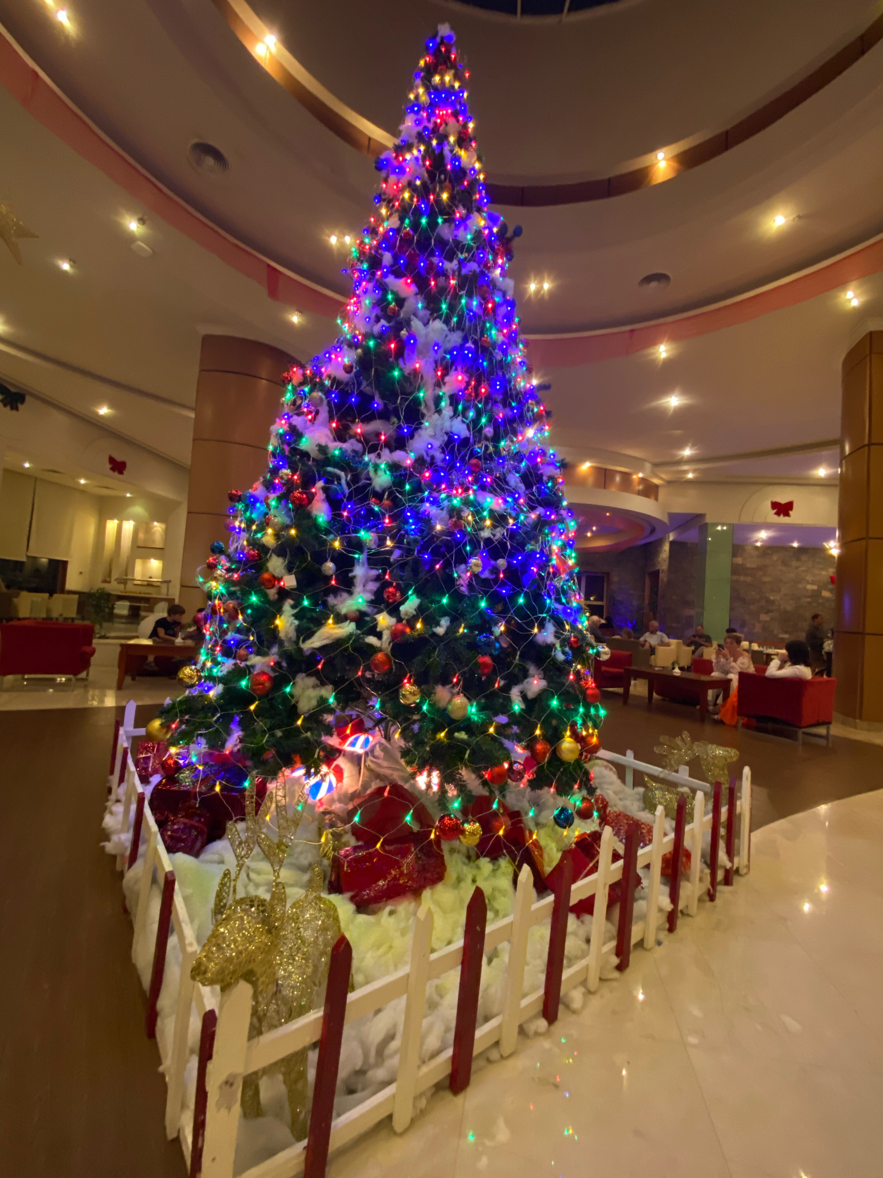 Фото Rehana Sharm Resort