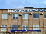 Magna res (Sirkovskoye Highway, 10), chimeneas, estufas