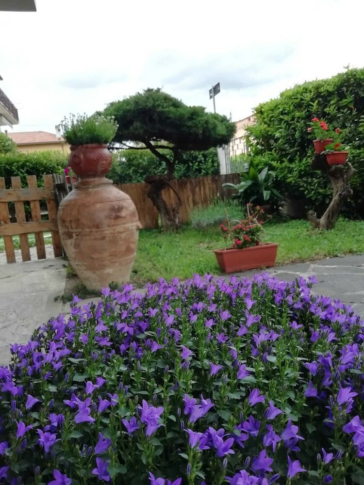 Фото B&b Il Cedro