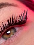 Ресницы Нежно (Promyshlennaya Street, 59А), eyebrow and eyelash salon