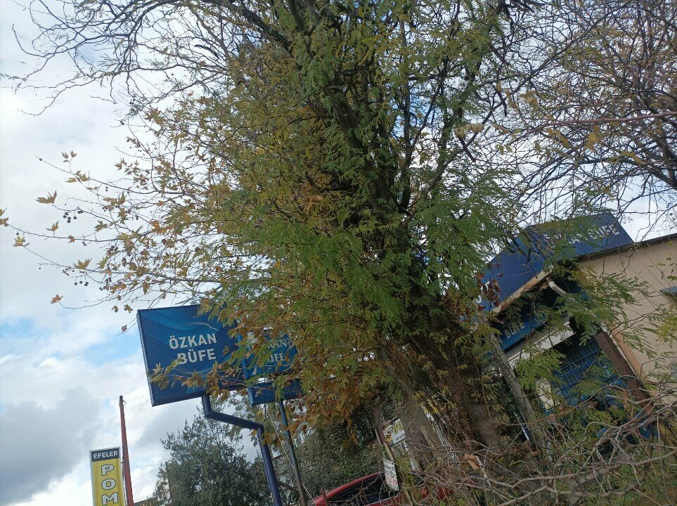 Convenience store Ozkan Buffet, Antalya, photo