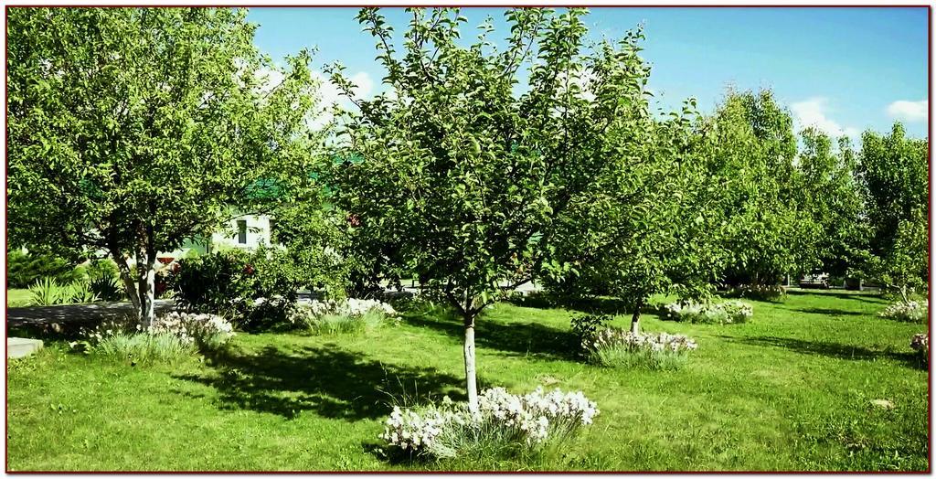 Фото Дворянское гнездо