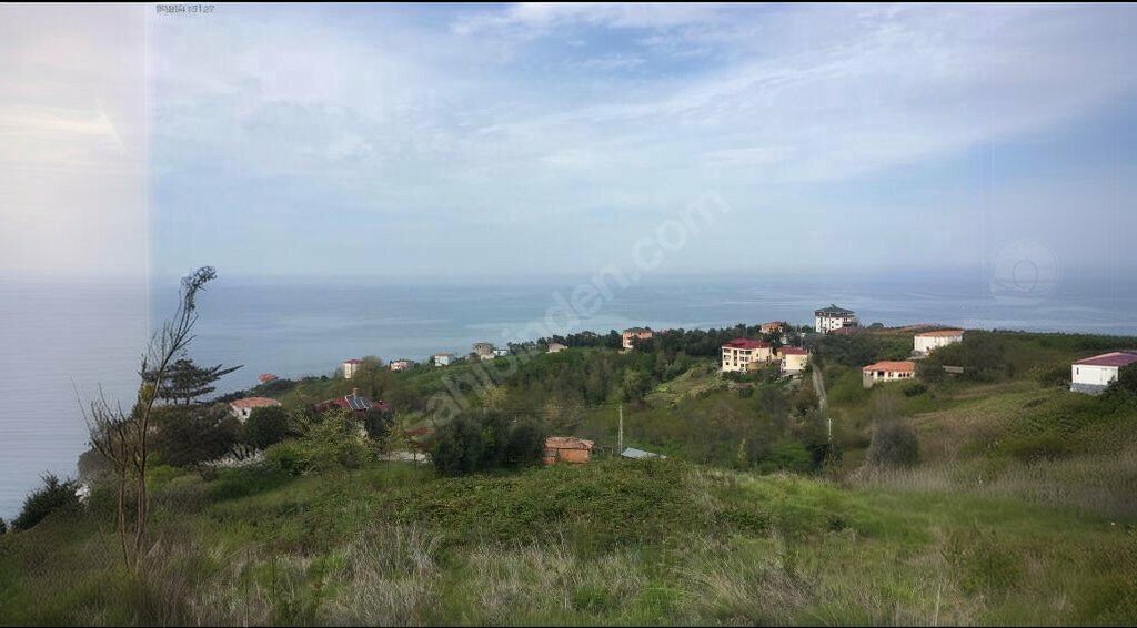 Real estate agency Maptas Real Estate Business Development and Investment Consultancy, Ortahisar, photo