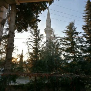 Karapolat Mahallesi Camii (Gaziantep, Islahiye, Karapolat Neighborhood, Karapolat Street, 20B), mosque