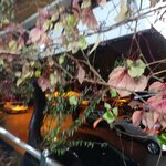 Kosem Kiraathanesi (Ankara Province, Yenimahalle, Şehit Rıfat Çelik Cad., 12A), cafe