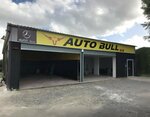 Auto Bull Car Wash and Vehicle Maintenance Services (Hatay, Dörtyol, Hacı Bayram Türkoğlu Blv.), car wash