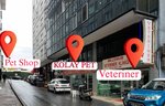 Kolay Pet (İstanbul, Şişli, Gülbahar Mah., Şekerciler Sok., 3), pet salon