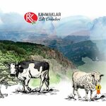 Kaymaklar Peynircilik (Çanakkale, Canakkale Merkez  Disirict, Kemalpaşa Mah., Hamdibey Sok., 1), lechería