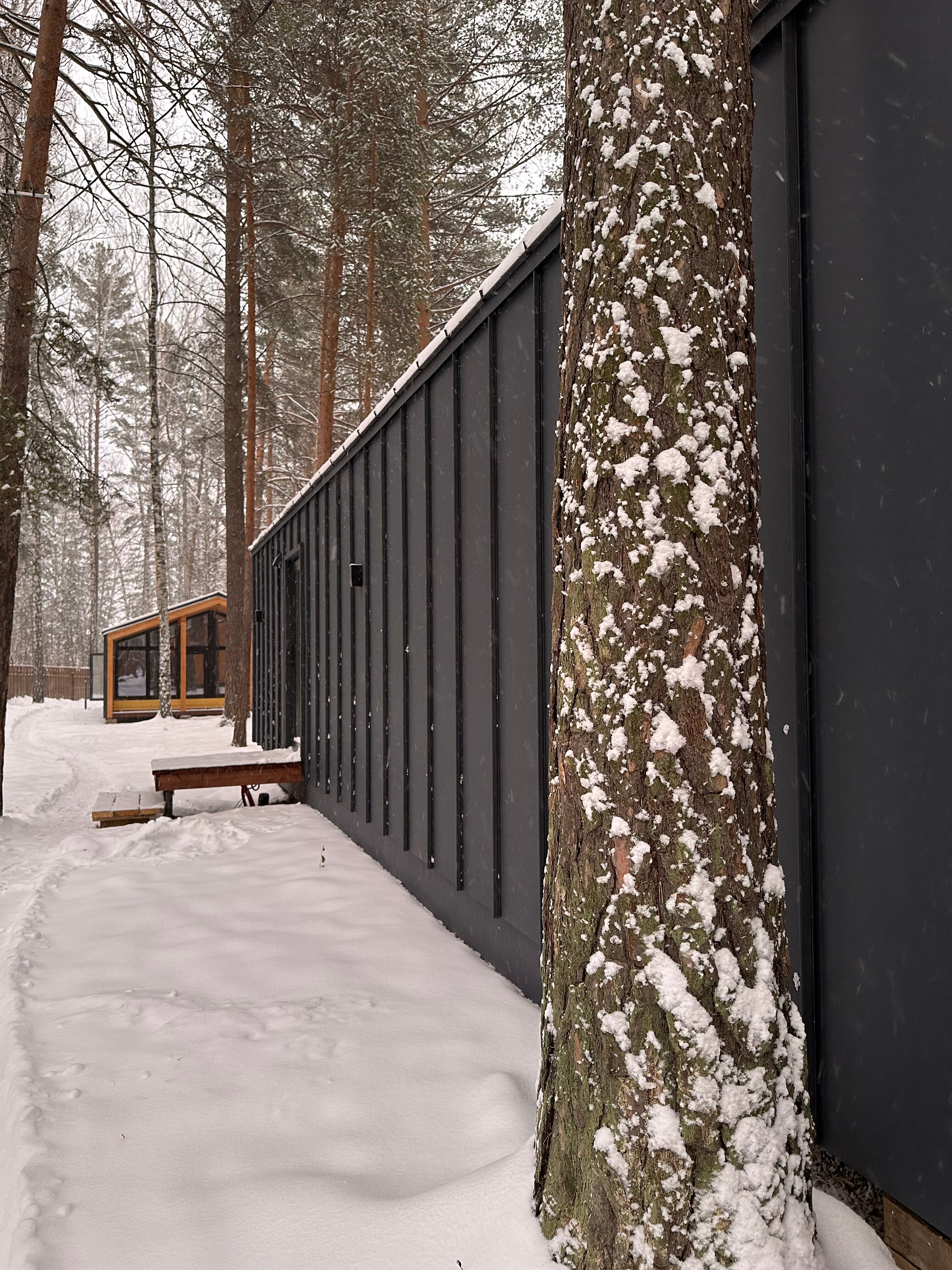 Фото Елки&голки