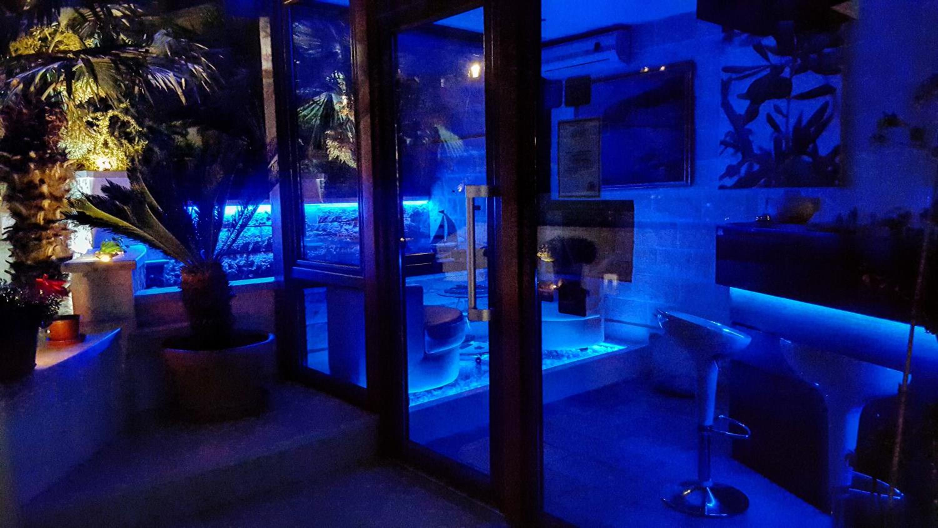 Фото Apartments M Palace