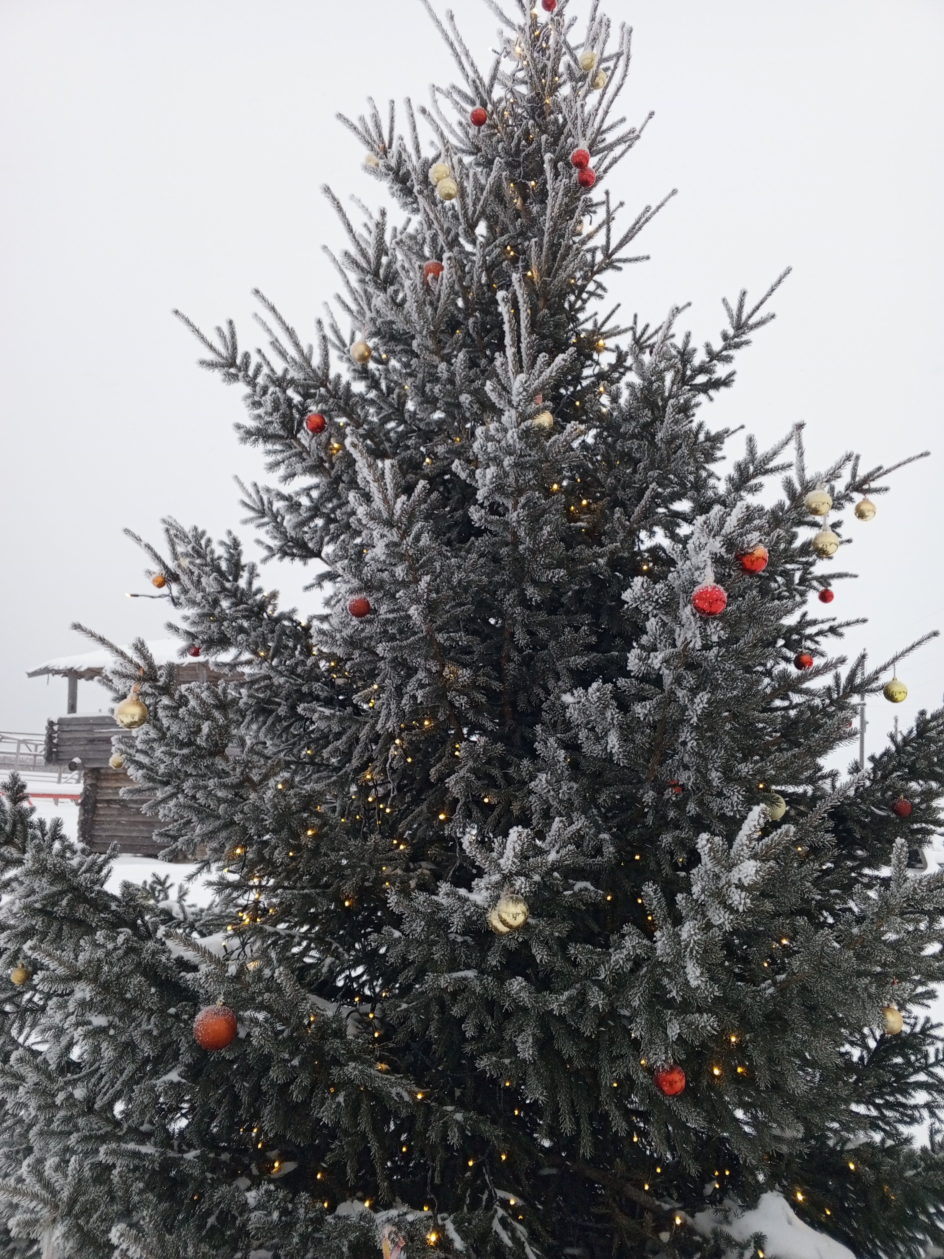 Фото Варяжская дружина