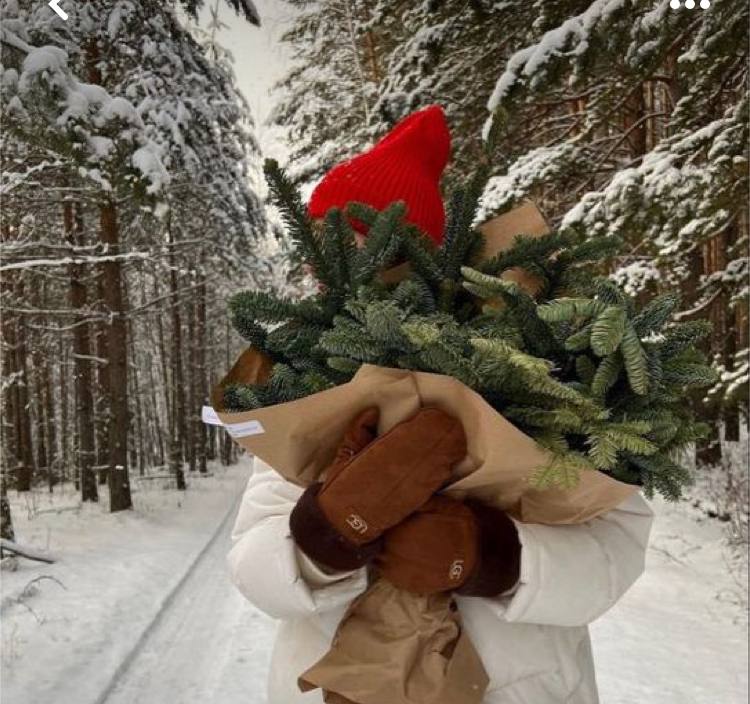 Фото A-frame Весна