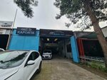 Akdeniz Damaged Vehicle Purchase and Sale (Antalya, Kepez, Şafak Mah., 5006. Sok., 48), car dealership