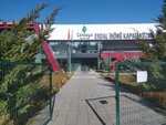 Erdal Inonu Kapali Yuzme Havuzu (Ankara Province, Cankaya District, Kahire Cad., 9) ، حمام السباحة
