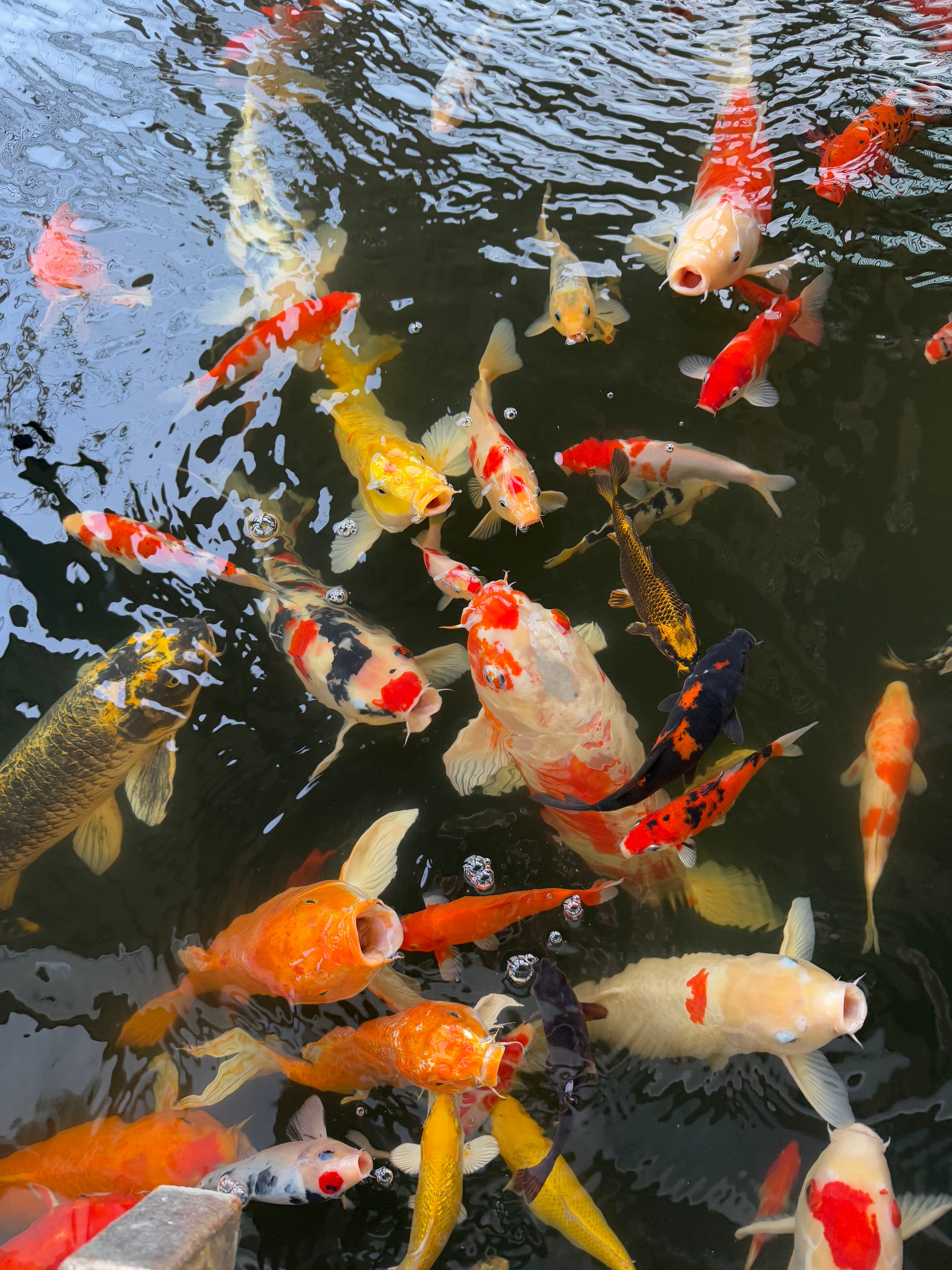 Фото Lantana Pattaya Hotel & Resort