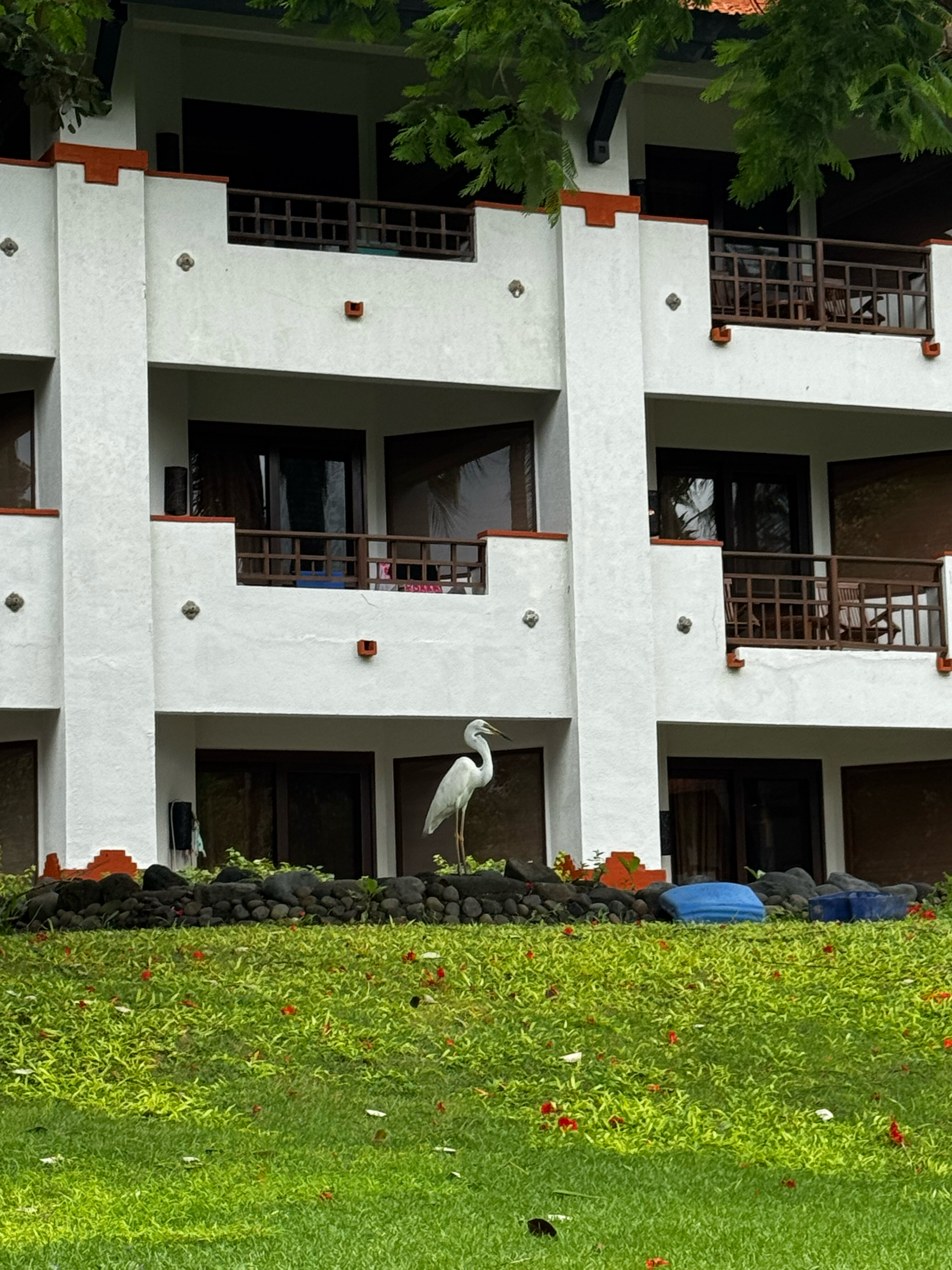 Фото Grand Hyatt Bali