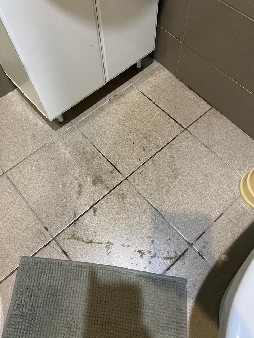 Фото Корона