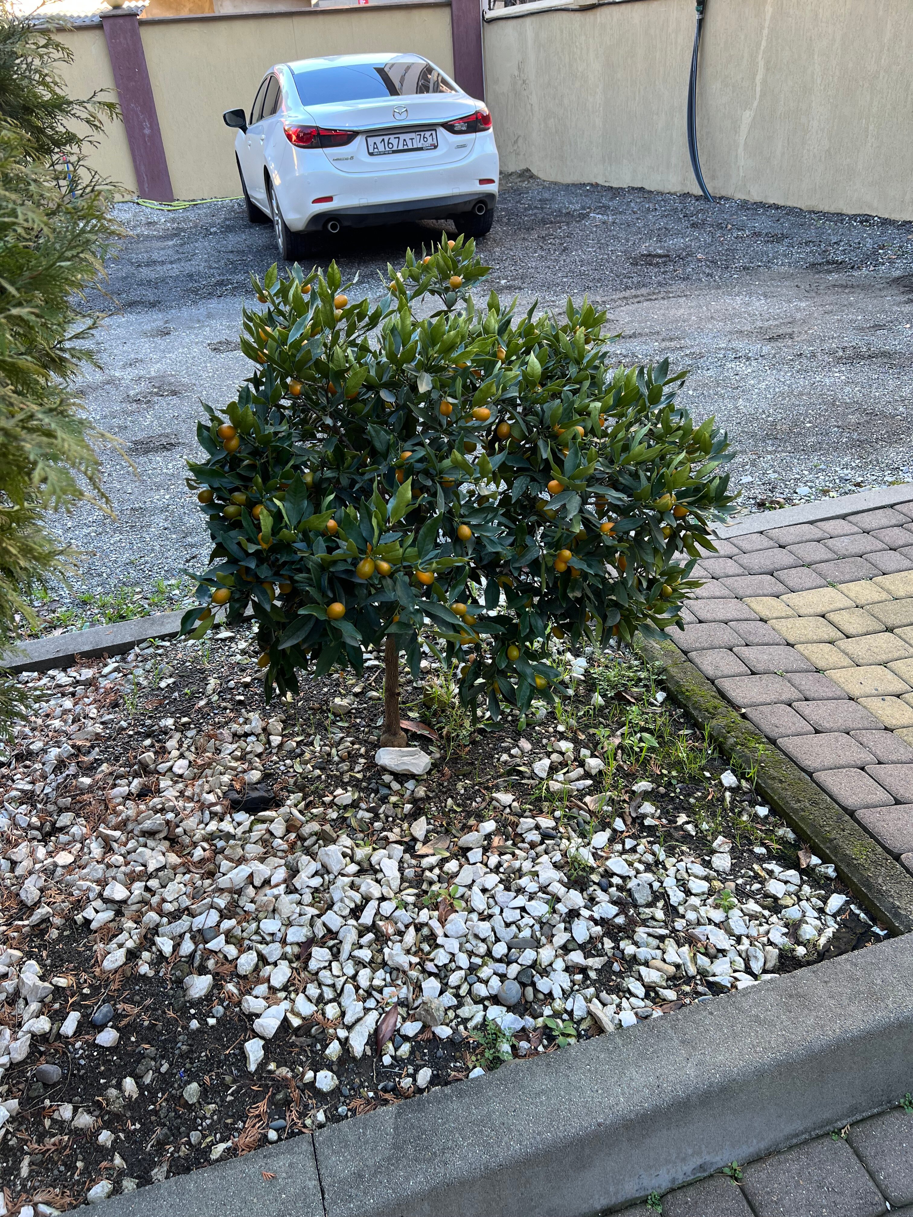 Фото Времена года