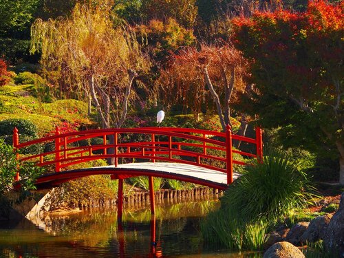 Гостиница Oaks Toowoomba Hotel в Тувумбе