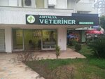 Zafer Veteriner Klinigi (Antalya, Muratpaşa, Bülent Ecevit Blv., 5A), clínica veterinaria
