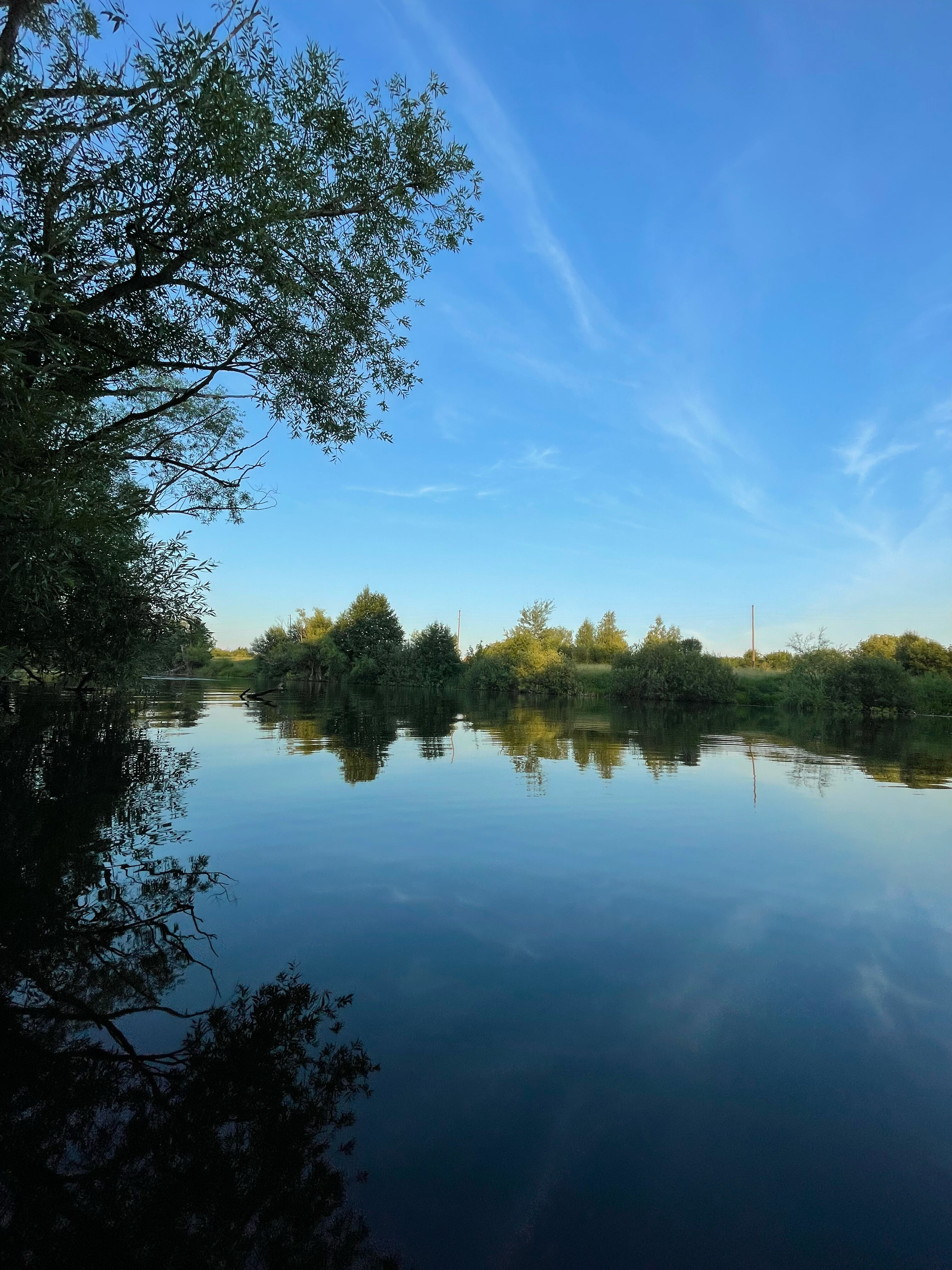 Фото Стрела