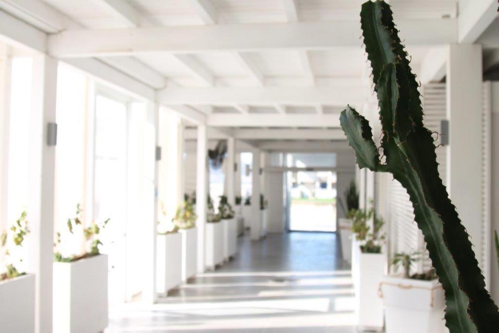 Фото Отель la Terrazza