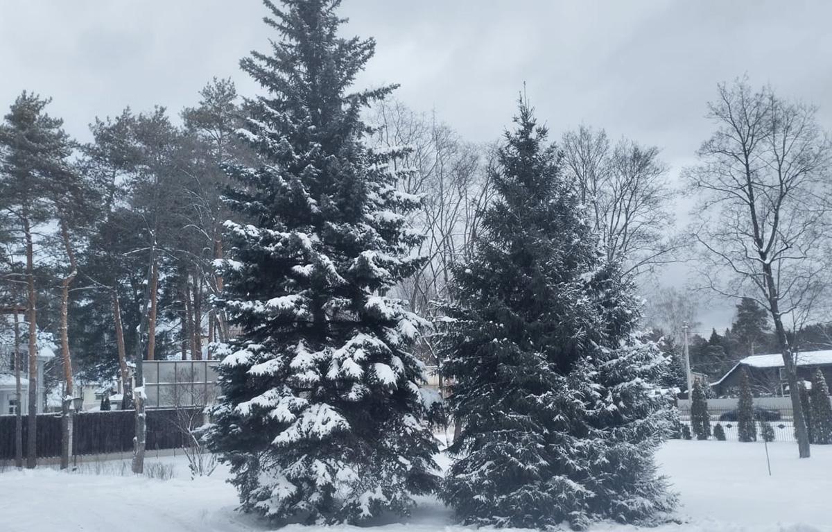 Фото Санаторий-профилакторий Лесной Дворик