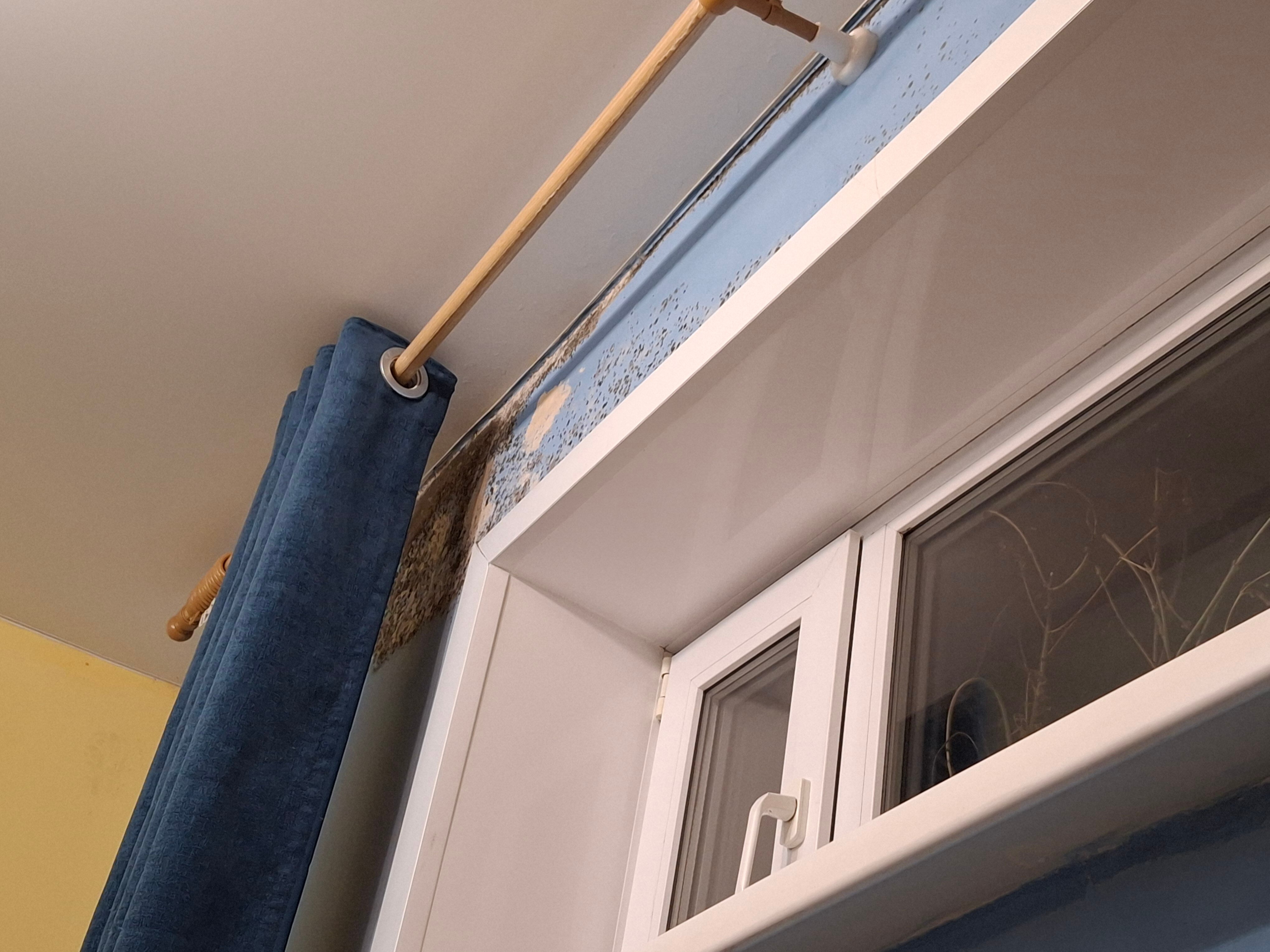 Фото Светлана